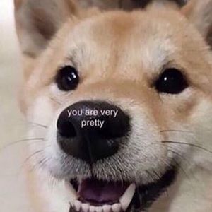 Meet your Posher, Julian